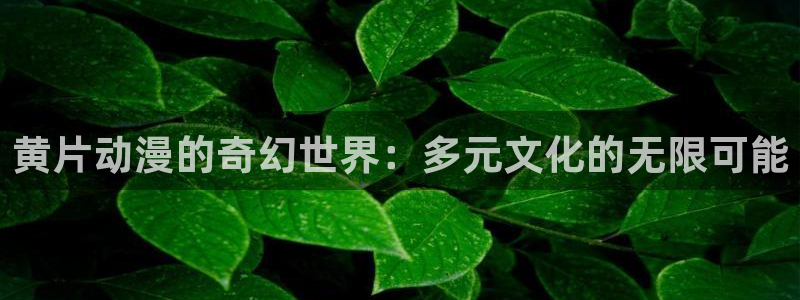 omofun动漫在哪下：黄片动漫的奇幻世界：多元文化的无限可能