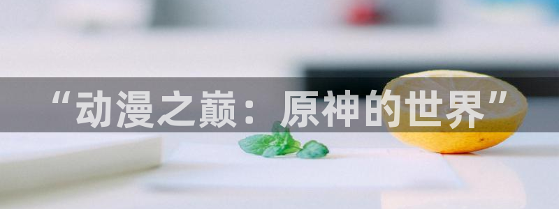 omofun动漫共和国：“动漫之巅：原神的世界”